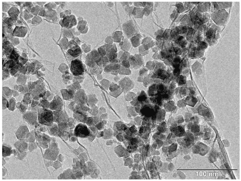 Híbridos de nanopartículas magnéticas funcionalizadas con diferentes agentes para la adsorción y remoción de metales pesados del agua